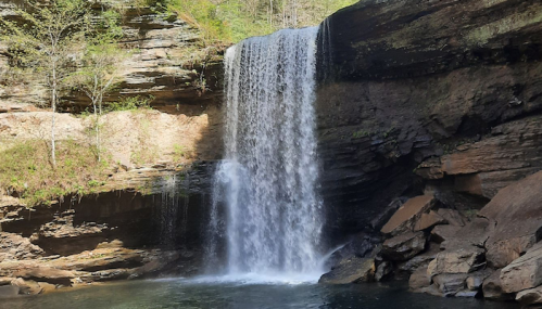 A serene waterfall cascading over rocky cliffs into a calm pool, surrounded by lush greenery.