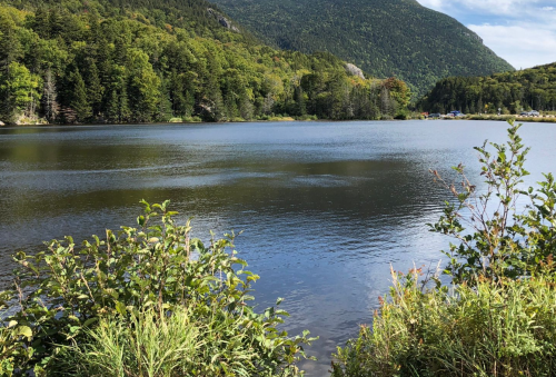 A serene lake surrounded by lush greenery and mountains under a clear blue sky.