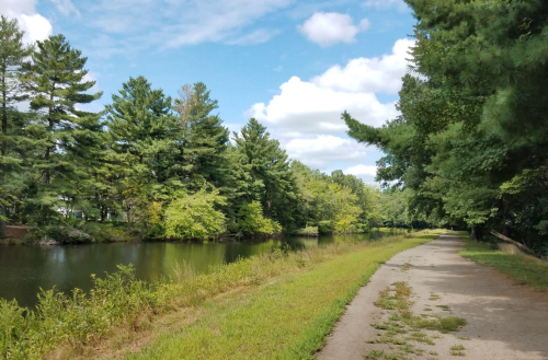 A serene pathway alongside a calm river, bordered by lush green trees under a partly cloudy sky.