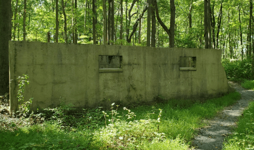 A weathered concrete wall with two small windows, surrounded by lush green trees and a gravel path.