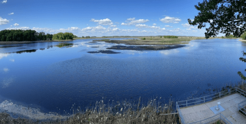 A serene landscape featuring a calm lake surrounded by greenery and blue skies with scattered clouds.