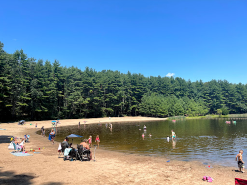 A sandy beach by a calm lake, with people swimming and relaxing under a clear blue sky surrounded by trees.