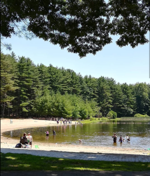 A serene lake surrounded by trees, with people enjoying the water and sandy beach on a sunny day.