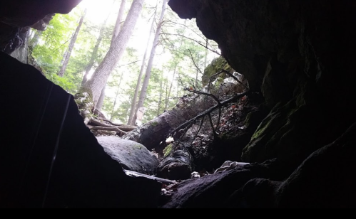 View from inside a cave looking out towards a forest with trees and natural light filtering through.