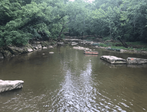 A serene river scene surrounded by lush greenery and rocky banks, reflecting the calm water.
