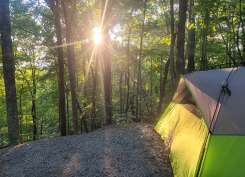 A bright sunbeam shines through trees beside a green camping tent in a serene forest setting.