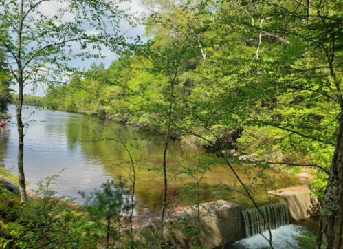 A serene river scene surrounded by lush green trees, with a small waterfall and calm water reflecting the sky.
