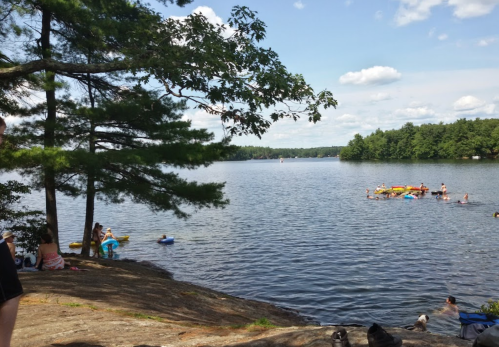 A serene lake scene with people swimming and floating on tubes, surrounded by trees and a clear blue sky.