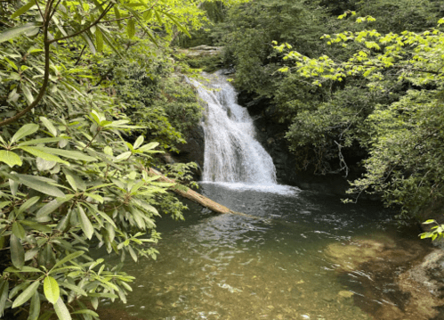 A serene waterfall cascades into a clear pool, surrounded by lush green foliage and rocks.
