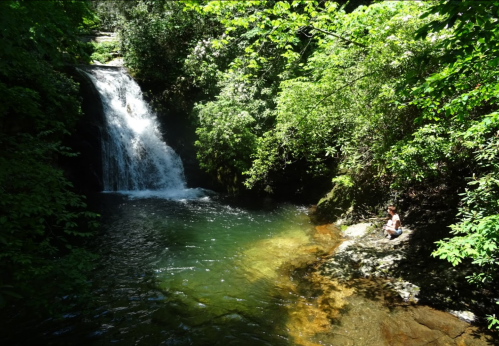 A serene waterfall cascades into a clear pool, surrounded by lush greenery, with a person sitting on a rock nearby.