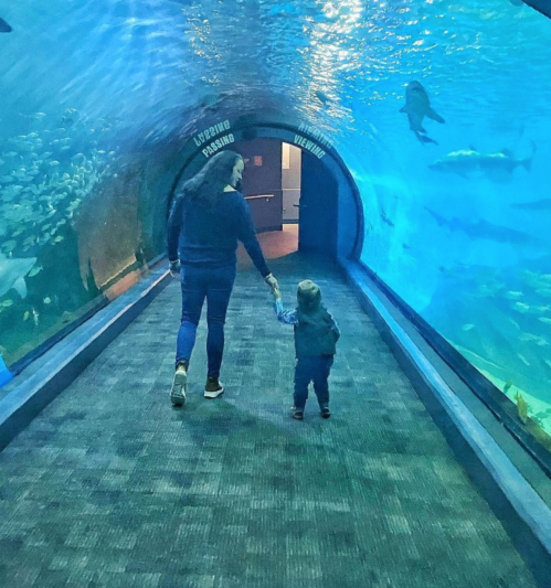 A person and a child walk hand-in-hand through an underwater tunnel surrounded by colorful fish and marine life.