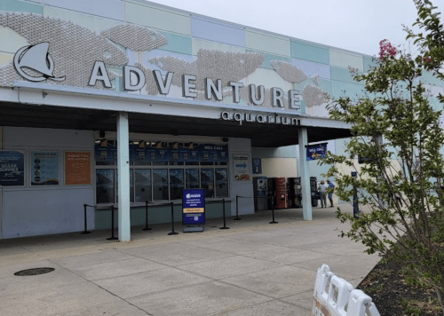 Entrance to Adventure Aquarium, featuring a large sign and a landscaped area with plants.