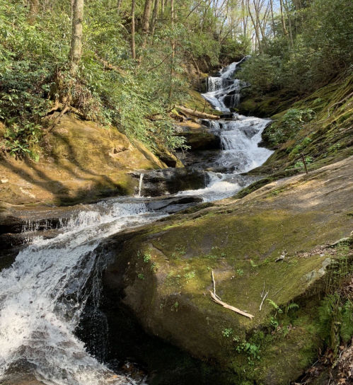 A serene waterfall cascades over moss-covered rocks, surrounded by lush green foliage in a tranquil forest setting.