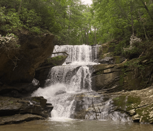 A serene waterfall cascading over rocky ledges, surrounded by lush green trees in a tranquil forest setting.