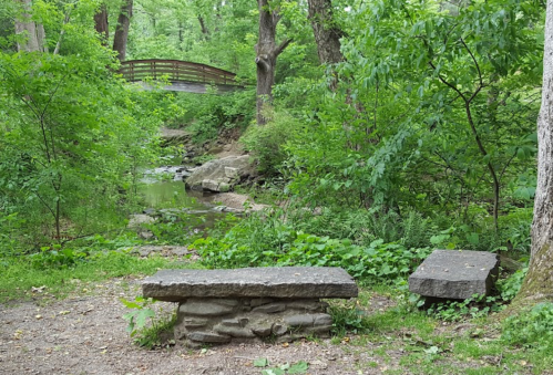 A serene park scene featuring stone benches, lush greenery, and a wooden bridge over a small stream.
