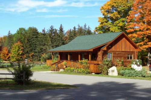 A cozy log cabin surrounded by colorful autumn trees and a clear blue sky.