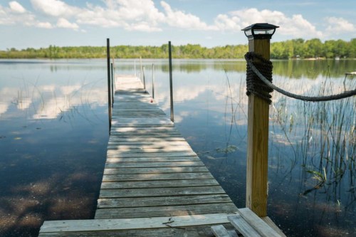 A wooden dock extends over a calm lake, surrounded by lush greenery and a clear blue sky with fluffy clouds.