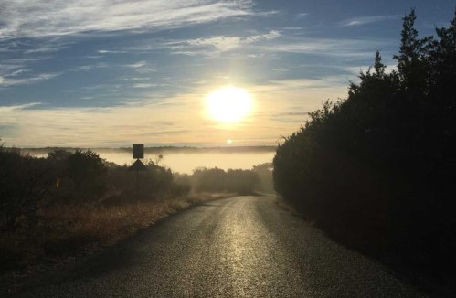 A winding road leads towards a sunrise, with fog covering the landscape and trees lining the sides.