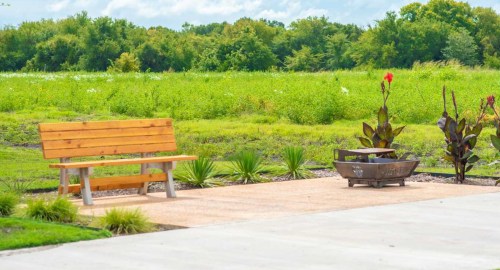 A wooden bench beside a fire pit, surrounded by greenery and flowers under a blue sky.