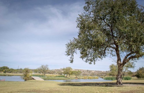 A serene park scene featuring a large tree by a calm lake, with grassy areas and distant hills under a cloudy sky.