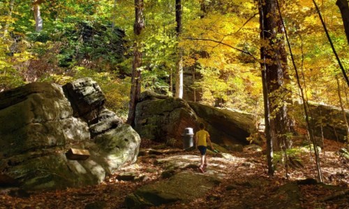 A person walks along a rocky path surrounded by vibrant autumn foliage and sunlight filtering through the trees.