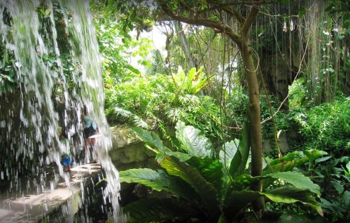 A lush green garden with a waterfall cascading over rocks, surrounded by tropical plants and trees.