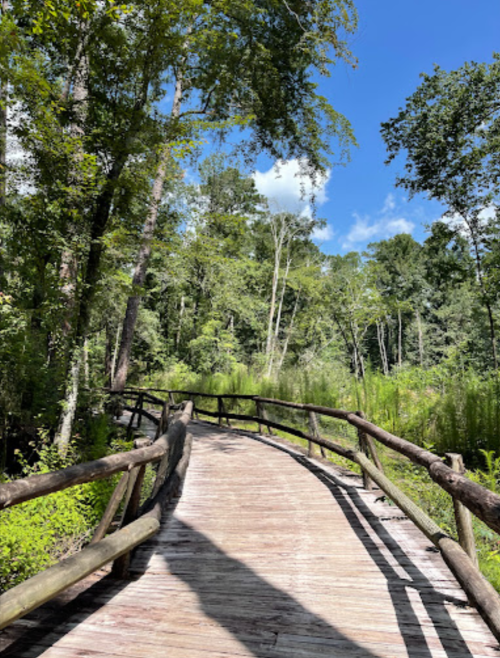 A wooden bridge curves through a lush green forest under a bright blue sky.