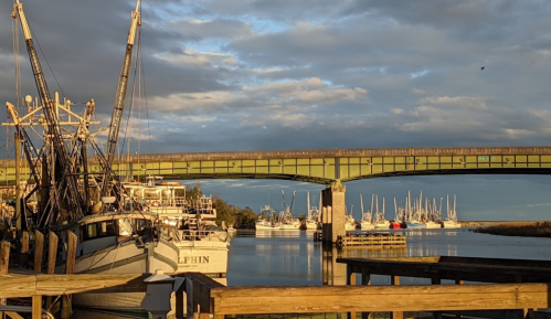 A scenic view of a marina with boats and a green bridge under a cloudy sky.