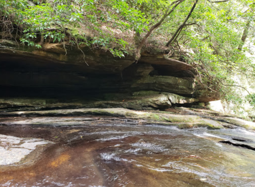 A serene natural scene featuring a rocky ledge above a calm stream, surrounded by lush greenery.