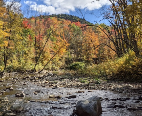 A serene river scene surrounded by vibrant autumn foliage and a clear blue sky.