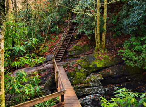 A wooden bridge crosses a rocky area, leading to a staircase surrounded by lush greenery and trees.