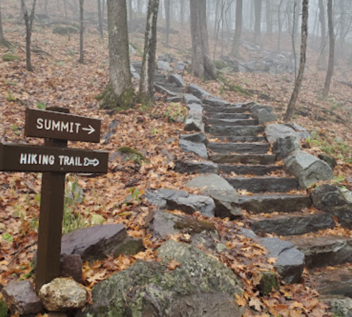 A misty forest path with stone steps, featuring signs for "Summit" and "Hiking Trail" amidst fallen leaves.