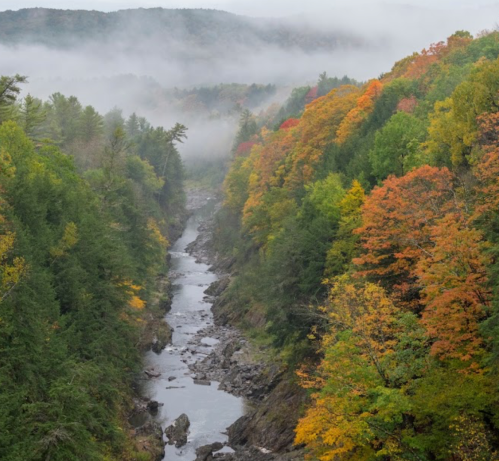 A misty river winds through a colorful forest of autumn foliage and rocky banks, surrounded by mountains.