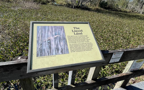 A sign titled "The Liquid Land" stands on a wooden railing, with a marshy landscape of green vegetation in the background.