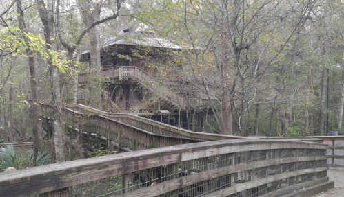A wooden walkway leads to a rustic building surrounded by trees in a serene, natural setting.