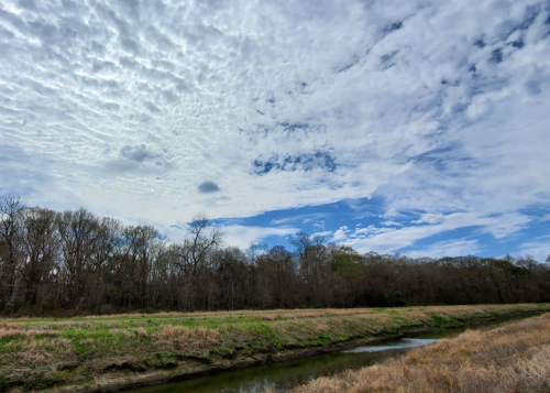 A serene landscape featuring a riverbank, grassy area, and a sky filled with clouds and blue patches.