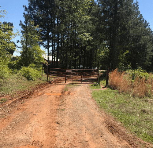 A dirt road leads to a closed gate surrounded by trees and overgrown grass on either side.