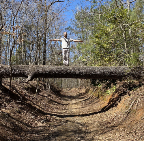 A person stands with arms outstretched on a fallen tree trunk in a wooded area, surrounded by trees and blue sky.
