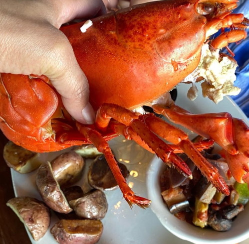 A hand holding a bright red lobster above a plate with roasted potatoes and a small bowl of seafood stew.