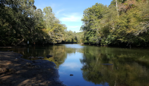 A serene river scene surrounded by lush trees under a clear blue sky, reflecting the greenery in the water.