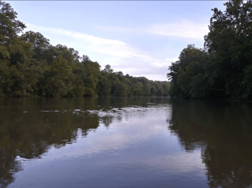 A calm river surrounded by lush green trees under a clear blue sky. Reflections shimmer on the water's surface.