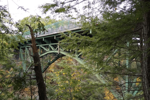 A green bridge arches over a ravine, surrounded by trees and autumn foliage.