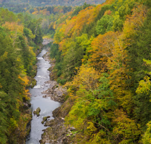 A winding river flows through a vibrant forest with autumn foliage in shades of green, orange, and yellow.