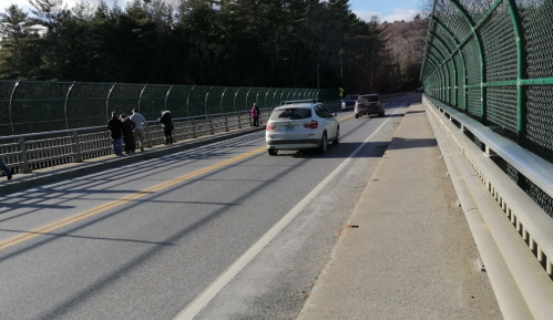 A view of a bridge with pedestrians on one side and a car driving on the other, surrounded by trees.