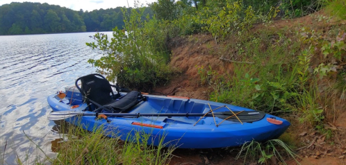 A blue kayak rests on a sandy bank by a calm lake, surrounded by green grass and trees.