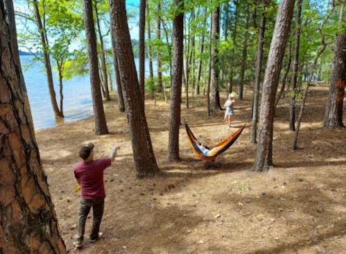 Two people enjoy a lakeside forest, one relaxing in a hammock and the other standing nearby among the trees.