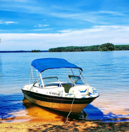 A boat with a blue canopy is anchored on a calm lake, surrounded by trees and a clear blue sky.