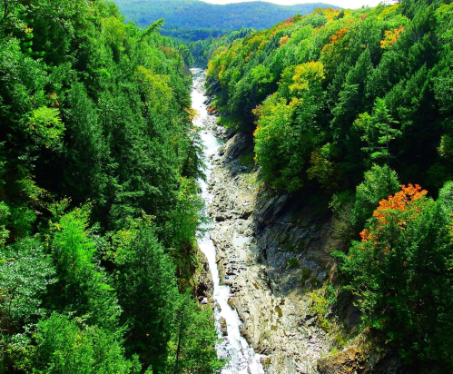 A scenic view of a river winding through a lush green forest with hints of autumn colors in the trees.