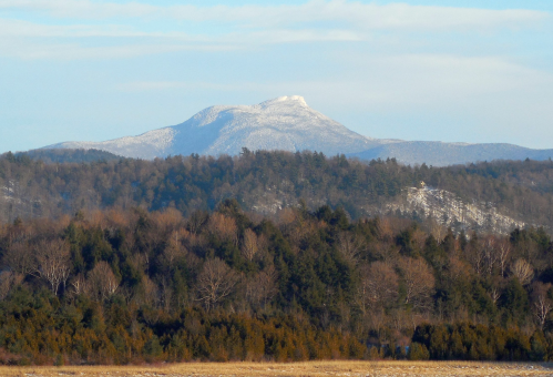 Snow-capped mountain peak rises above a forested landscape under a clear blue sky.