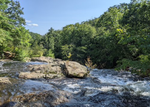 A serene river flows over rocks, surrounded by lush green trees under a clear blue sky.